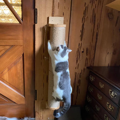 Wall Mounted Cat Climbing Shelves Scraper for Cat Scratching Post Cat Accessories Tower Tree For Cats Toys Pet Furniture Wooden