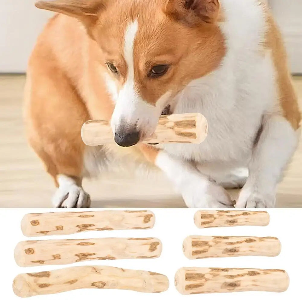 Real Wooden Dog Chew Toys Safe Interactive Pet Chew Stick Natural Dog Teeth Cleaning Hard Portable Sticks For Puppy Travel Toy