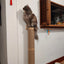 Cats Tree Climbing Shelves Cat Perch Wall-Mounted Wooden Platform For Cats & Kitten Big Steps Scratching Post For Grinding Claws