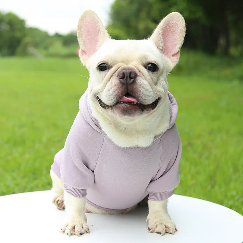 Winter Dog Clothes for Chihuahua Male Christmas Dog Sweatshirt for Bulldog  Hoodie for Large Dogs Pug Dog Accessories Yorkshire