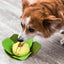Pet Interactive  Puzzle Toys Encourage Natural Foraging Skills Portable Pet Snuffle Tissue Box Toy Slow Feeder Training Toy