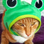 Cute Pet Hat Small Dog Cat Hat Easter Bunny Hat Crab Lobster Frog Cap Pet Party Costume Accessories Headwear for Cat Kitten Pug