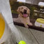 Automatic Dog Tennis Ball Launcher Dogs Chase Toys Automatic Fun Interactive Machine Fun Interactive Rechargable Catapult 6 Ball