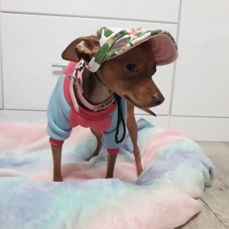 Pet Dog Hat Accessories Dogs Baseball Cap Sport Puppy Grooming Dress Up Hat Pet Dog Outdoor Hat Headwear Casual Cat Dog with Hat
