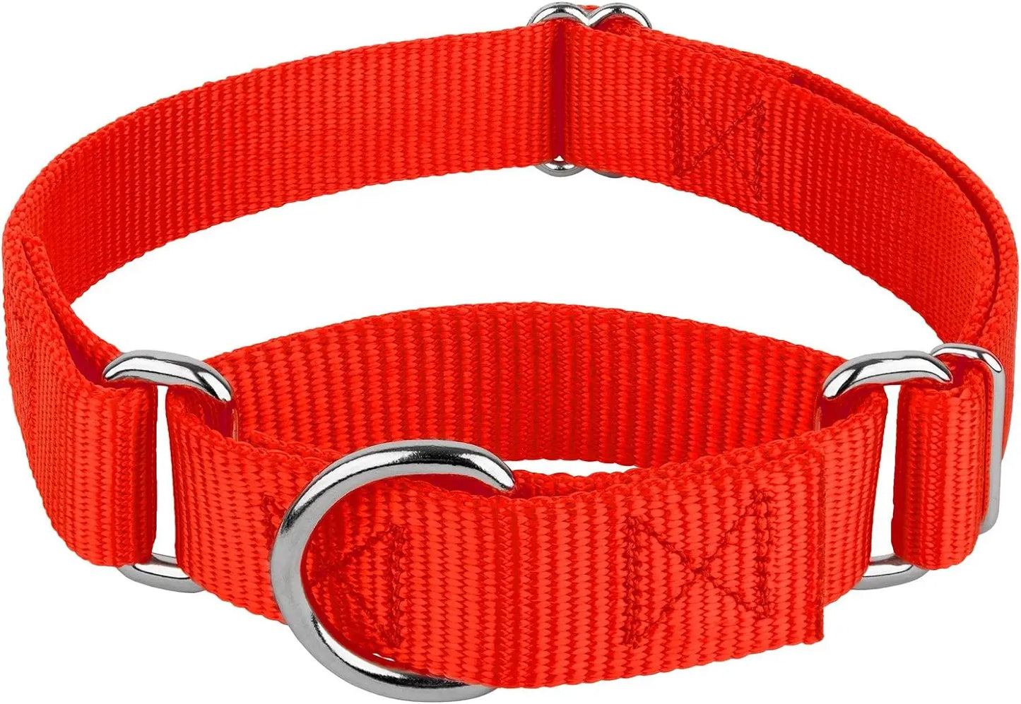 Martingale Heavy Duty Nylon Dog Collar for Small, Medium, Large Breeds Adjustable Safety Training Collar