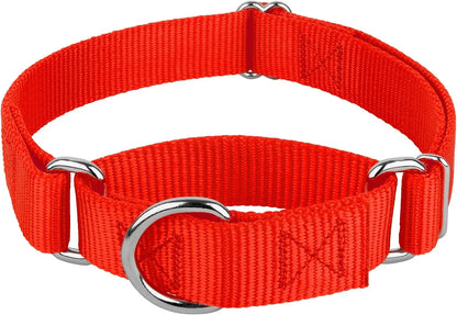 Martingale Heavy Duty Nylon Dog Collar for Small, Medium, Large Breeds Adjustable Safety Training Collar