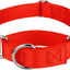 Martingale Heavy Duty Nylon Dog Collar for Small, Medium, Large Breeds Adjustable Safety Training Collar