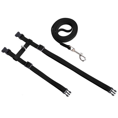Adjustable Pet Cat Collar For Cats Cozy Nylon Rabbit Kitten Kedi Harness Leash Set Small Puppy Dog Cat Accessories Pet Products