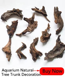 Pet Reptile Feeder Bowl Resin Aquarium Basin Food Water Pot Reptile Turtle Tortoise Scorpion Lizard Crabs Supplies Dropshipping