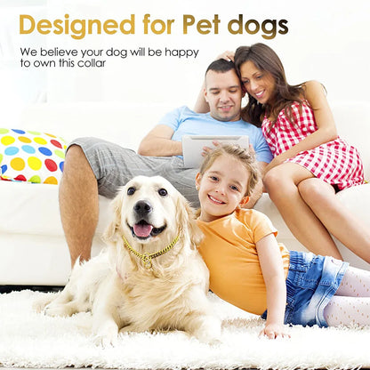 Stainless Steel Gold Dog Chain Collar 10MM Wide Metal Cuban Links For Small Medium dog Large Dogs Walking Training collar