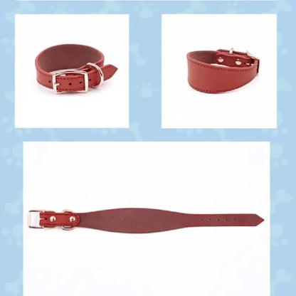 Soft Real Leather Extra Wide Padded Tapered Dog Collar Glossy Brown Black Greyhound Saluki Deerhound Lurcher Whippet Dachshund