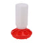 Poultry Thickened Feeder And Drinker Water Food Dispenser Automatic Chicken Birds Chick Waterer Feeding Bucket Container