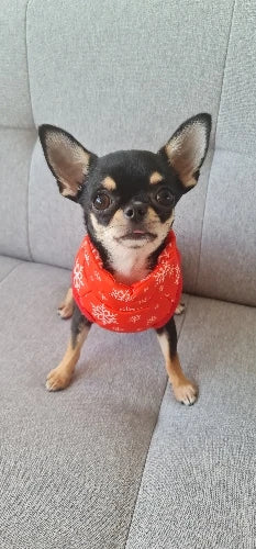 Dog Clothes For Small Dogs Yorkia Mini Chihuahua Dog Clothes Winter Cat Jacket Coat For Pug Puppy Down Coat Sphynx Pets Apparel