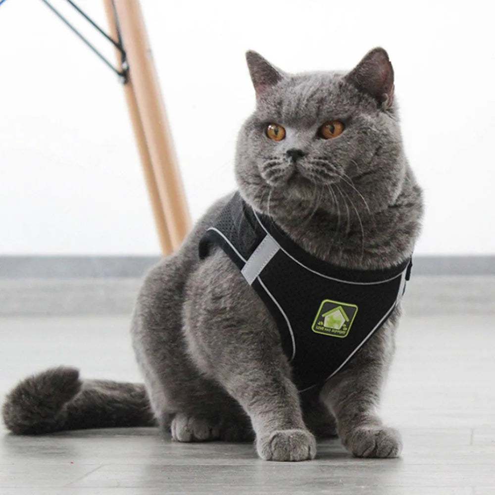 Breathable Cat Harness with Leash Anti-Escape Cat Vest Harness Collar for Kitten Pet Accessories Adjustable Puppy Harness Leads