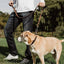 Dog Choke Collar Genuine Leather Dog Collar Dog Choking Chain Collar Stainless Steel Chain No Pull Dog Leather Training Collar