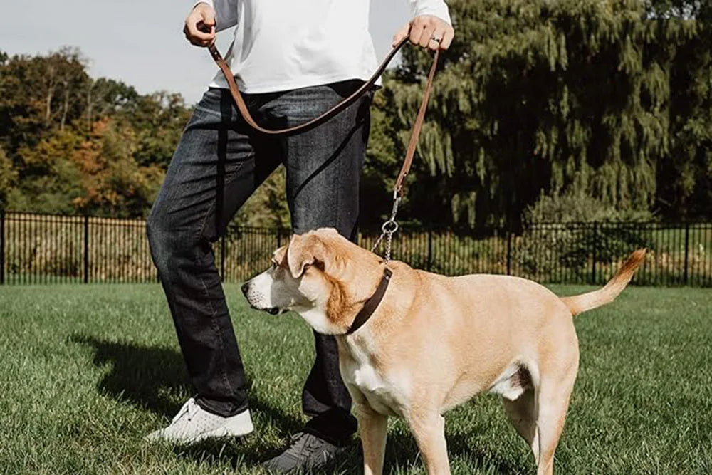 Dog Choke Collar Genuine Leather Dog Collar Dog Choking Chain Collar Stainless Steel Chain No Pull Dog Leather Training Collar