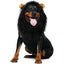 Cute Pet Dog Cosplay Clothes Lion Mane For Dog Costumes Realistic Lion Wig For Medium to Large Dogs With Ear Pet Accessories
