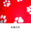 Pet Blanket Super Soft Dog Blanket with Cute Paw Print Warm Puppy Blanket Mat Bed Cover for Large Dogs Kitten Cat Small Animals