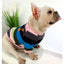 Parent-child Wear Pet Clothes  Puppy Clothes  Dog Costume  Dog Clothes for Small Dogs Printing Autumn and Winter