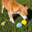 Silicone  Dog Toys Stretch Rubber Leaking Ball Funny Interactive Pet Tooth Cleaning Balls Bite Resistant Chew Toys