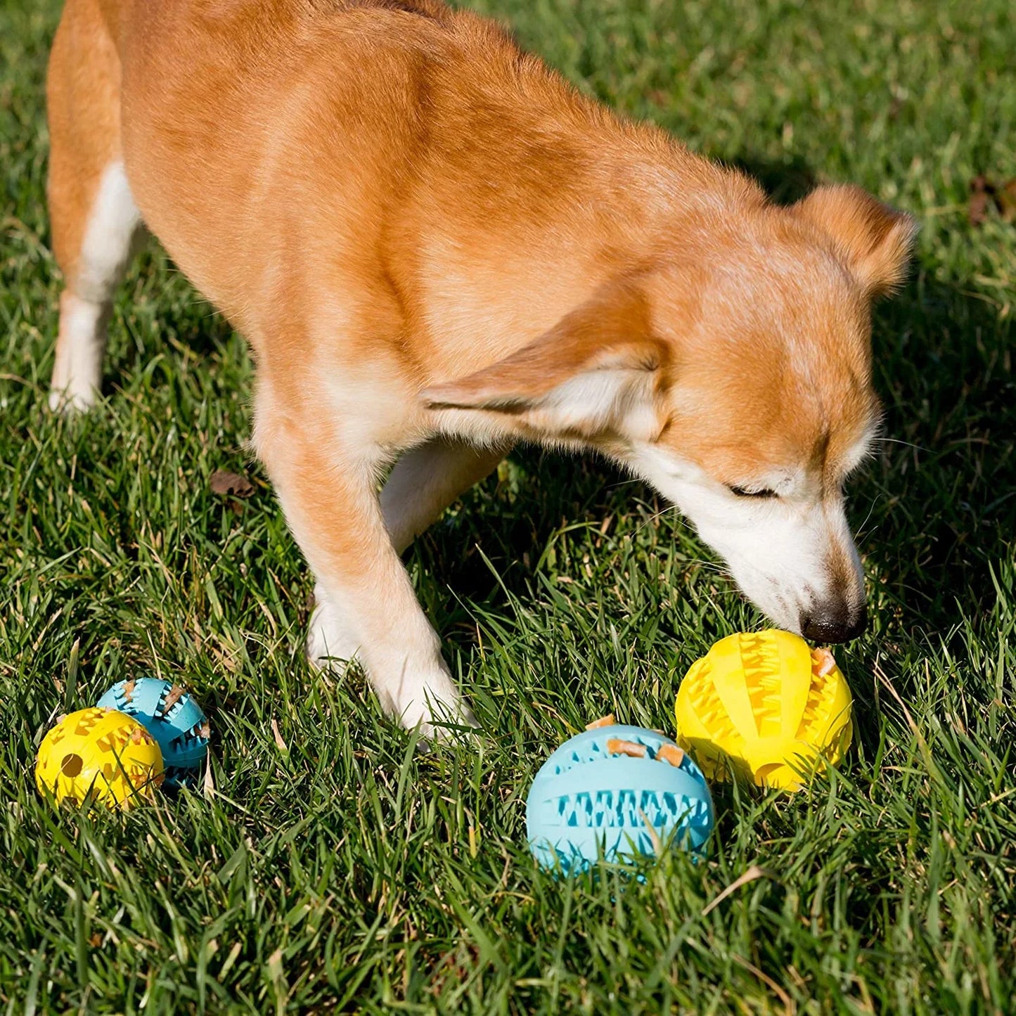 Silicone  Dog Toys Stretch Rubber Leaking Ball Funny Interactive Pet Tooth Cleaning Balls Bite Resistant Chew Toys