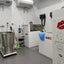 Dogs Hydrotherapy Pet Training Rehabilitation Underwater Treadmill High Quality Dog Training Equipment Water Treadmill