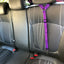 Solid Color Two-in-one Pet Car Seat Belt Nylon Lead Leash Backseat Safety Belt Adjustable Dogs Harness Collar Pet Accessories