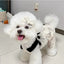 Summer Dog Dress Pet Dog Jumpsuit Animal Print Dog Skirt Puppy Vest Ins Style Suspenders Dog Clothes Chihuahua Girls Dog Outfit