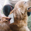 Dog Grooming Comb Dog Shedding Slicker Brush Portable Dog Massage Clean Tangled Brush Kitten Puppy Hair Combs Beauty Tools