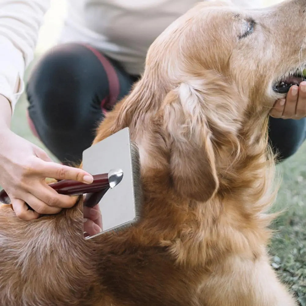 Dog Grooming Comb Dog Shedding Slicker Brush Portable Dog Massage Clean Tangled Brush Kitten Puppy Hair Combs Beauty Tools