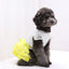 Cute Lace Princess Dog Tutu With Bow - Red, Yellow, Green