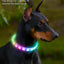 USB Rechargeable Glowing Collar for Large and Small Dogs LED Glowing Dog Collar 9 Flashing Modes Adjustable Soft Silicone Collar