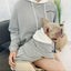 The New  Pet Clothes  Dog Clothes Parent-child Wear Spring and Autumn Korean Version Pure Cotton Hoodie Four Colors Seven Sizes