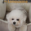 Pet car seat car travel pet sofa seat cushion four seasons general pet supplies dog kennel wholesale
