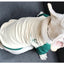 2022 Spring and Autumn New Style Pet Parent-child Clothing Bichon Cat Clothes Embroidered Dog Costumes