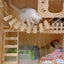 Toys Wall-mounted Activity Cat Wood Sisal Scratcher Climber Furniture Cat Bridge Rope Steps Kitten Ladder Kitten Post Wall