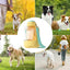 Dog Travel Water Bottle Portable Dog Drinking Bottle Large Capacity Dog Water Dispenser 2 in 1 Puppy Drinking Leak Proof Bowl