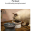 Dual-purpose Cat/Dog Food Bowl, Elevated Anti-Vomiting Cat Feeder Whisker Stress-Free Dog Plastic Cat Feeding Bowls