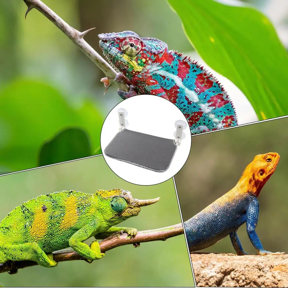 Reptile Window Perch Foldable Suction Cup Hammock Reusable Lizard Bed Breathable Chameleon Perch for Resting Sleeping Playing