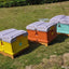 Hot Sale Thermo Insulated Beehive HDPE One-Layer Langstroth Plastic Bee Hive for Beekeeper