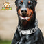 19MM Stainless Steel Dog Collar Choker Metal Cuban Link Chain Luxury Pets Necklace for Dogs Walking Heavy Duty