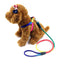 120CM Long Rainbow Nylon Pet Dog Leash Walking Training Leash Cats Dogs Harness Collar Leashes Strap Belt Ropes Durable Supplies