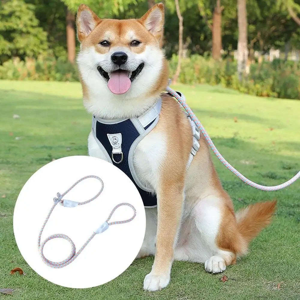 Dog Leashes Nylon Pet Leashes Heavy Duty Rope Leashes Mountain Climbing Rope Dog Leashes For Any Pets Playing Camping Beach Lake
