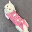 Cat Recovery Suit Breathable Cat Surgery Recovery Suit Onesies Female Kitty Castration Abdominal Wound Recovery Clothing Outfits