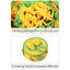 Multi-Functional Sniff Mat for Dog Dog Feeding Mat Dog Activity Sniffing Mat Dog Treat Blanket Boredom Buster for Dogs Dispenser