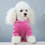 Pet Dog Clothing Four-legged Fashion letter Pet Dog Clothes for Dogs Coat Hoodie Sweatshirt Four seasons One-piece Jumpsuit