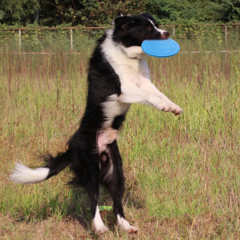 Rubber Flying Saucer Interactive Dog Toy For Large Dogs Soft Dog Accessories Puppy Training Supply Puzzle Activity Game Chewers