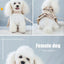 2023New Dog Harness Elegant Comfortable Breathable Pet Dress Collar For Small Dogs Fashion Lovers Vest Dog Harness and Leash Set