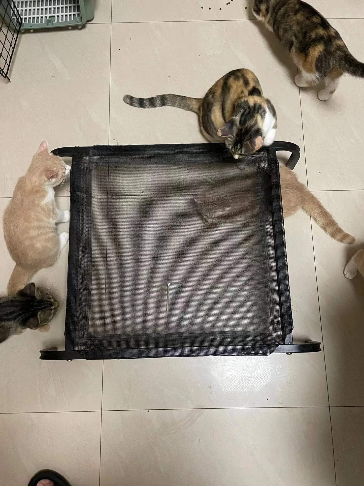 Elevated Bed For Dogs Folding Pet Camping Bed Cat Dog House Portable Removable Washable Cats Kennel Puppy Beds Dog Accessories