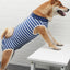 Body Post-Operative Recovery Suit for Dogs Pet Abdominal Wound After Surgery Wear Surgical Clothes for Small Medium Large Dogs